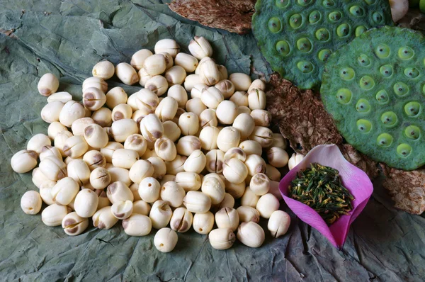 Colección flor de loto, semillas, té, alimentos saludables —  Fotos de Stock