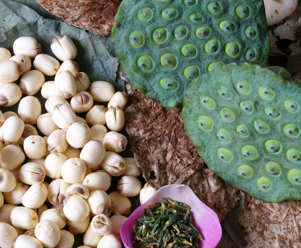 Colección flor de loto, semillas, té, alimentos saludables —  Fotos de Stock