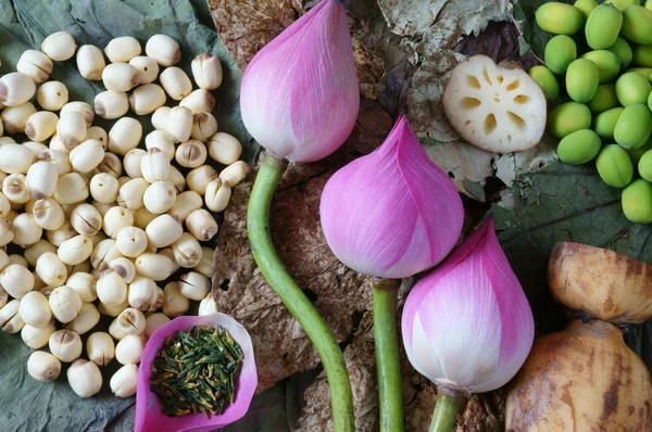 Koleksiyon lotus çiçeği, tohum, çay, sağlıklı gıda — Stok fotoğraf