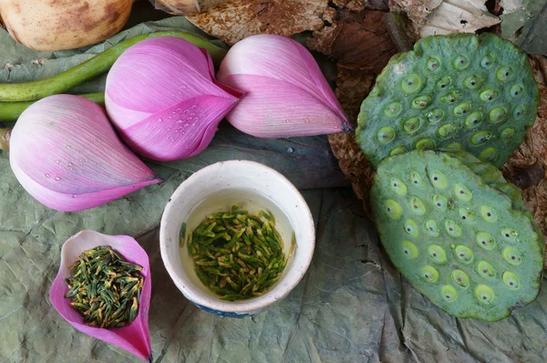 Colección flor de loto, semillas, té, alimentos saludables — Foto de Stock