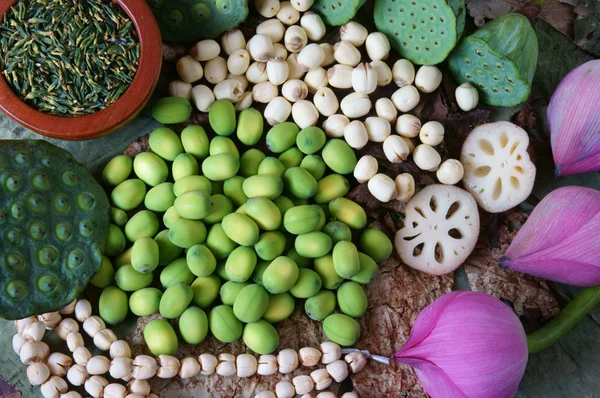 Colección flor de loto, semillas, té, alimentos saludables —  Fotos de Stock