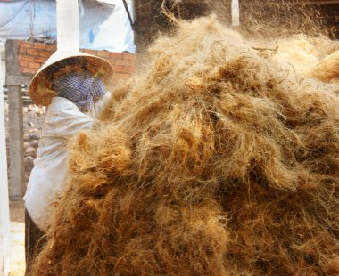 Asya işçi, Hindistan cevizi, Vietnam, Hindistan cevizi, Mekong Delta