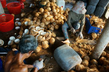 Asya işçi, Hindistan cevizi, hindistancevizi, malzeme, Mekong Delta