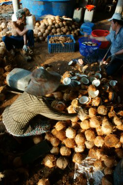 Asya işçi, Hindistan cevizi, hindistancevizi, malzeme, Mekong Delta