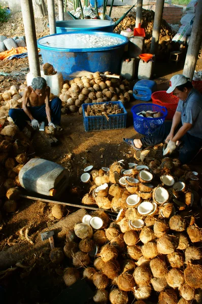Asijské pracovníka, kokos, kopra, materiál, Mekong Delta — Stock fotografie