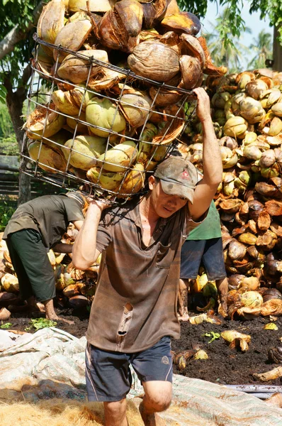 Lucrător asiatic, industria fibrelor de nucă de cocos, vietnamez — Fotografie, imagine de stoc