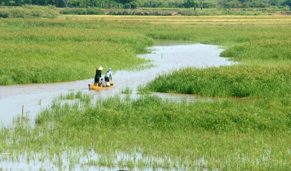 Agricoltore asiatico, barca a remi, famiglia, andare al lavoro — Foto Stock