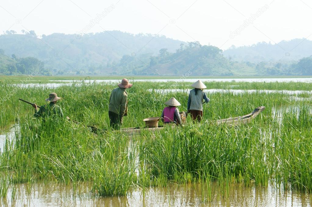 Asian farmer, row boat, family, go to work