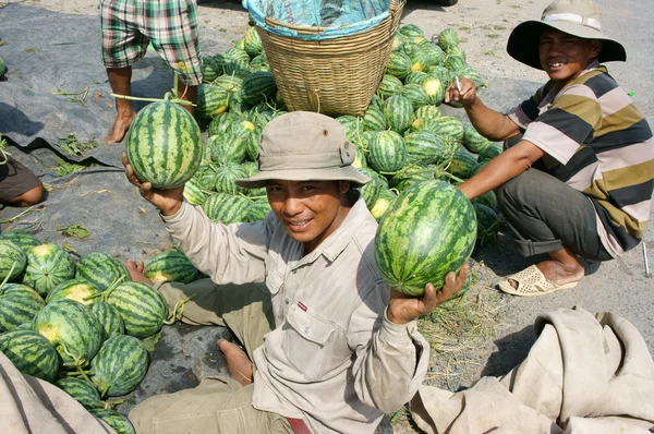 Agricultor asiático, campo agrícola, vietnamita, melancia — Fotografia de Stock