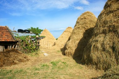 Vietnamese village, stack of straw, cowshed, Vietnam
