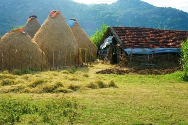 Vietnamesisches Dorf, Strohstapel, Kuhstall, Vietnam — Stockfoto