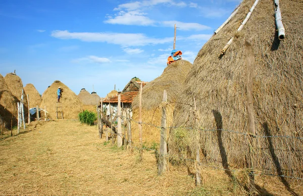 Vietnamesisches Dorf, Strohstapel, Kuhstall, Vietnam — Stockfoto