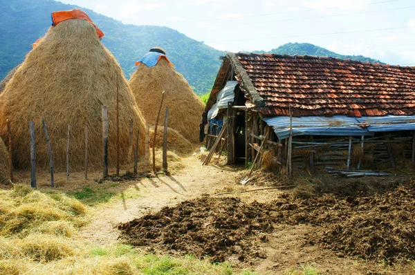 Vietnamese village, stack of straw, cowshed, Vietnam — Stock fotografie