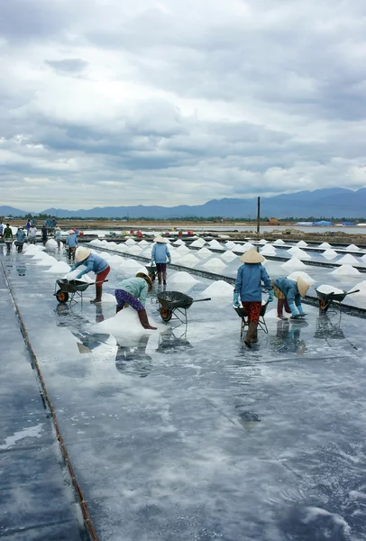 Asia worker, salt marsh, working — Zdjęcie stockowe