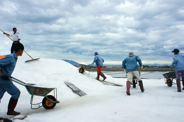 Asia worker, salt marsh, working — Stock Photo, Image