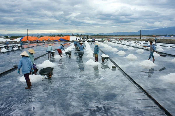 Asia worker, salt marsh, working — Zdjęcie stockowe