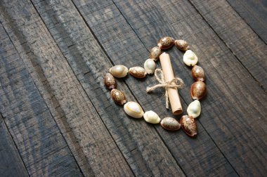 I love you, shell, heart shape, valentine day