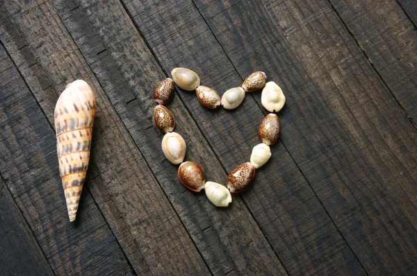 I love you, shell, heart shape, valentine day — Stock fotografie