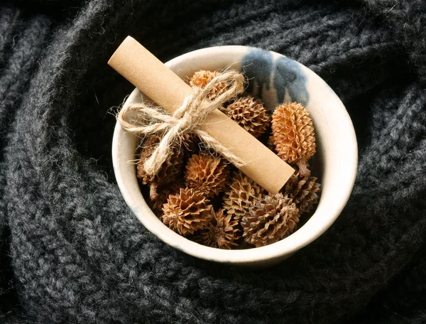 Ornamental, Xmas, christmas pine cone, handmade — Zdjęcie stockowe