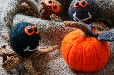 Cadılar Bayramı arka plan, el yapımı, kabak, örümcek, Ekim