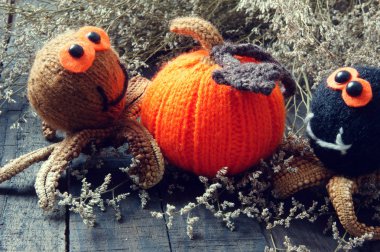 Cadılar Bayramı arka plan, el yapımı, kabak, örümcek, Ekim