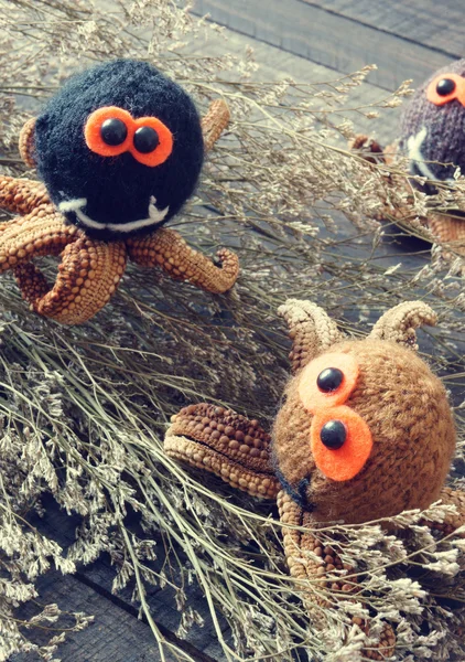 Cadılar Bayramı arka plan, el yapımı, kabak, örümcek, Ekim