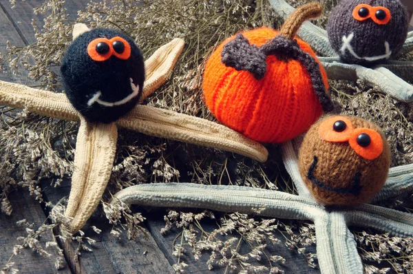 Cadılar Bayramı arka plan, el yapımı, kabak, örümcek, Ekim