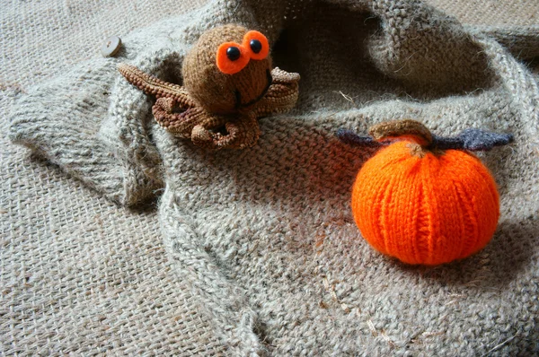 Fondo de Halloween, hecho a mano, calabaza, araña, octubre — Foto de Stock