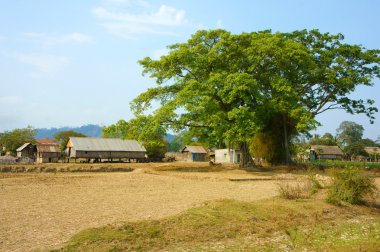 Buon Thuot, Daklak, bana zavallı hayat, Vietnam