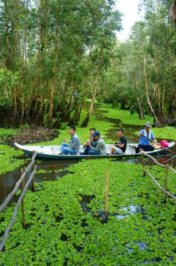 Mekong Delta, Tra Su Indigo forest, Ekoturizm