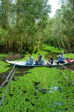 Mekong Delta, Tra Su Indigo forest, Ekoturizm