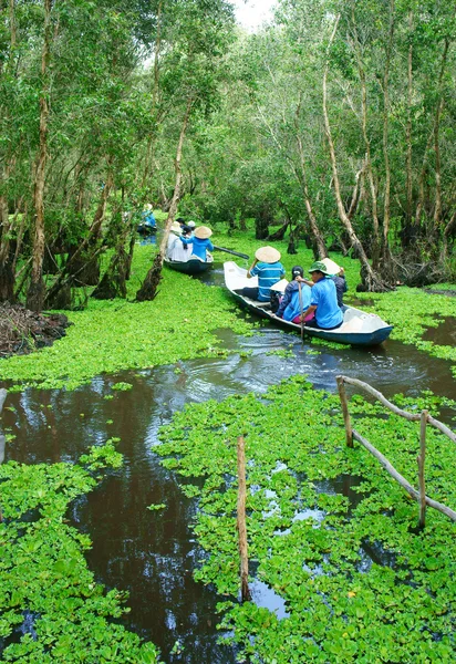 Delta del Mekong, bosque índigo de Tra Su, ecoturismo —  Fotos de Stock
