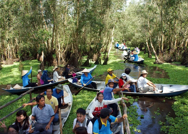 Delta du Mékong, forêt indigo de Tra Su, écotourisme — Photo