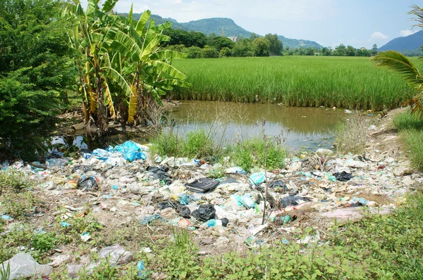 Problema ambientale, discarica, terreni agricoli, inquinati — Foto Stock