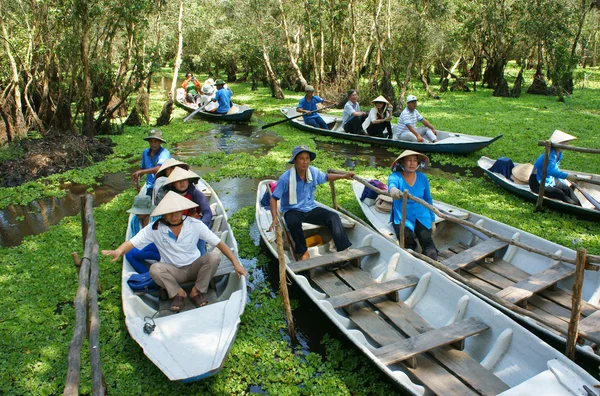 Delta del Mekong, Tra Su indaco foresta, ecoturismo — Foto Stock