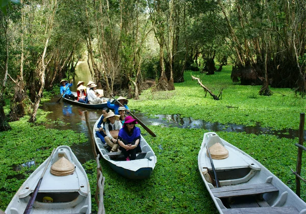 湄公河三角洲，Tra 苏靛蓝森林、 生态旅游 — 图库照片