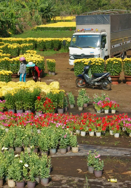 アジアの農民の収穫、花、トレーダー輸送 — ストック写真