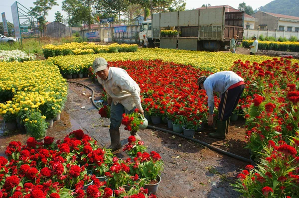 Asyalı Çiftçi hasat, çiçek, tüccar taşıma — Stok fotoğraf