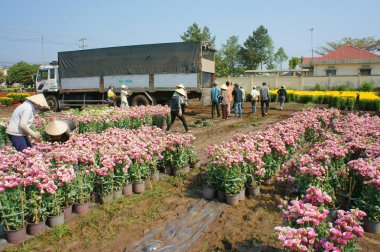 Asyalı Çiftçi hasat, çiçek, tüccar taşıma