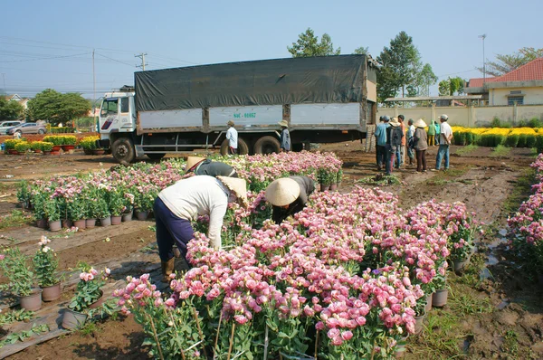 Aziatische landbouwer oogst, bloem, handelaar vervoer — Stockfoto