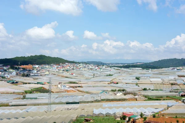 Çiçekçilik sanayi, sera, etkisi, dalat, geliştirme — Stok fotoğraf