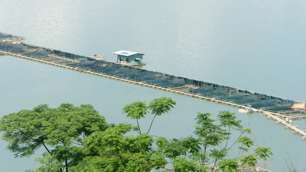 Piscicultura, acuario, daklak, Vietnam — Foto de Stock