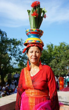 Vietnam kadın, geleneksel kıyafet