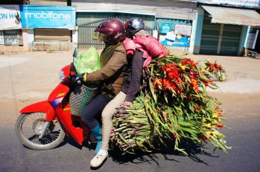 Tehlike trafik, ulaşım, aşırı yük, motosiklet, Vietnam