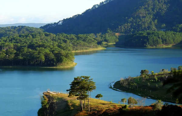 Dalat, Vietnam, eco cestování, borový les, Da Lat — Stock fotografie