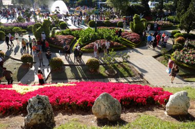 Kalabalık, Dalat çiçek park, festival, Bahar, turizm 