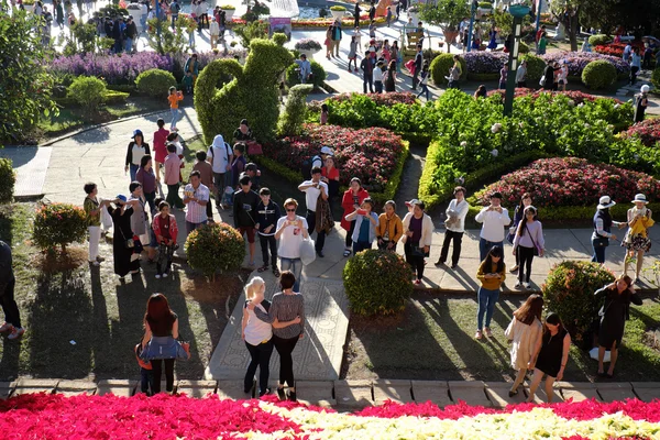 Crowded, Dalat flower park, festival, primavera, turista — Fotografia de Stock