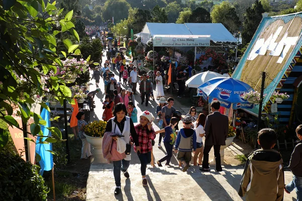 Druk, Dalat bloemenpark, festival, lente, toeristische — Stockfoto