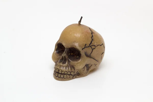 Skull — Stock Photo, Image