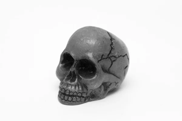 Skull, black and white — Stock Photo, Image